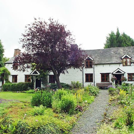 ريكسهام Glencoed B&B المظهر الخارجي الصورة