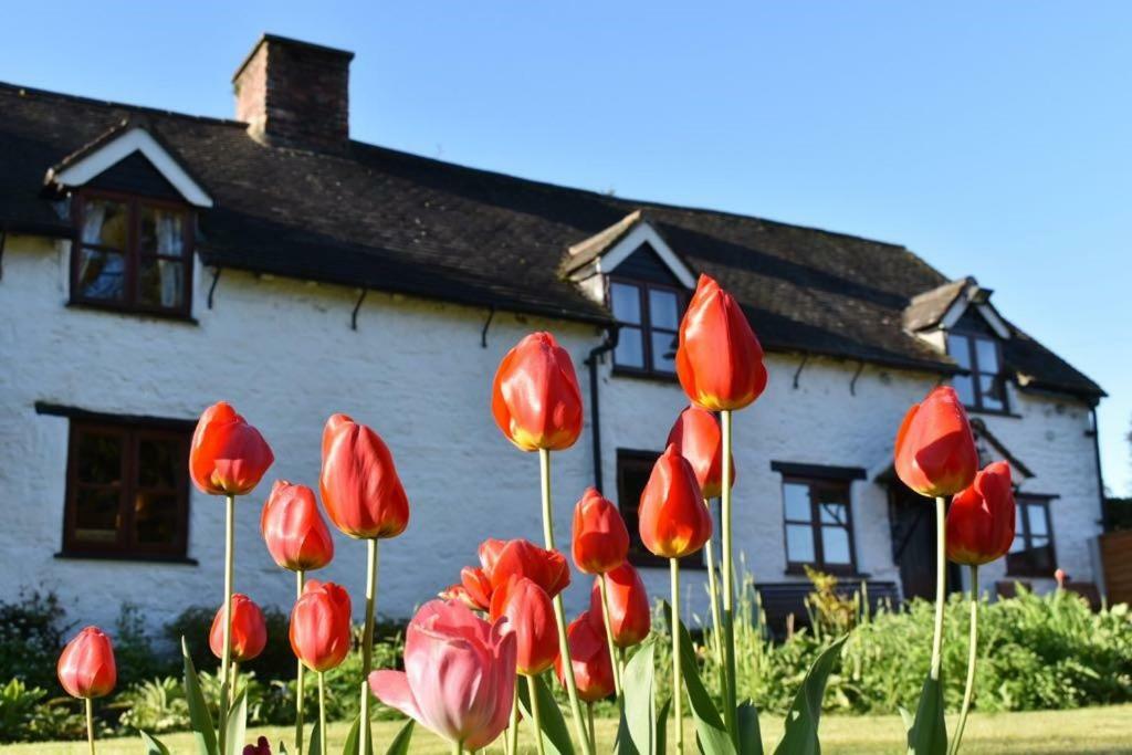 ريكسهام Glencoed B&B المظهر الخارجي الصورة